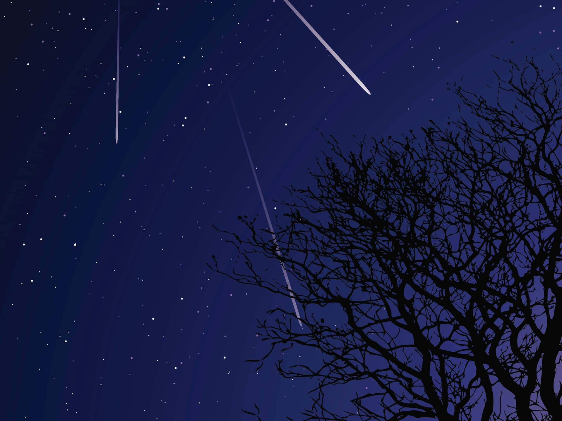 A brilliant set of meteors streak across the night sky