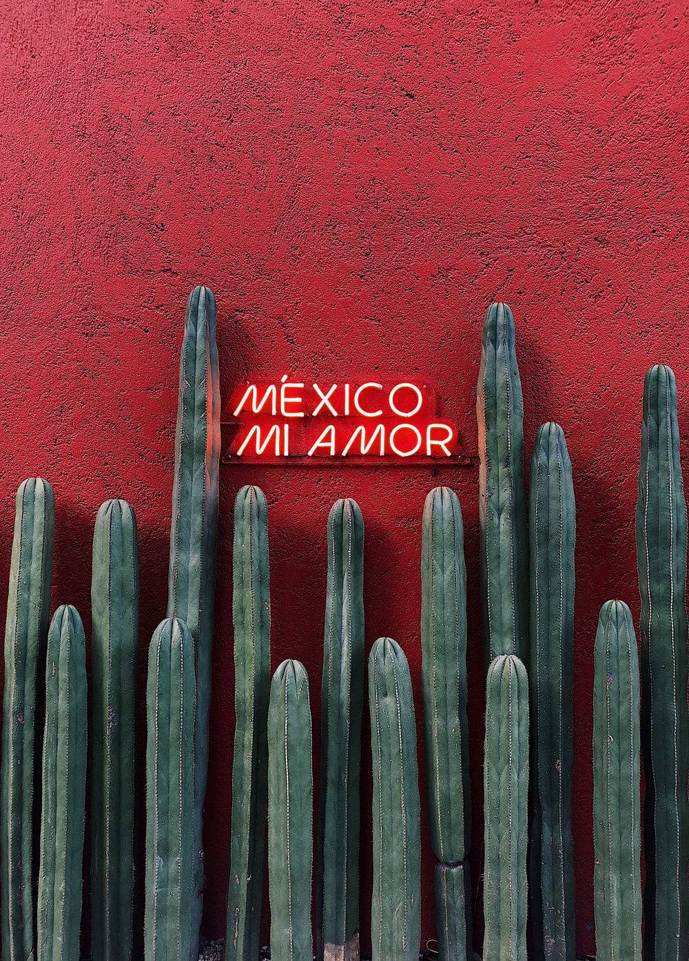 Mexican Mi Amor Neon Light