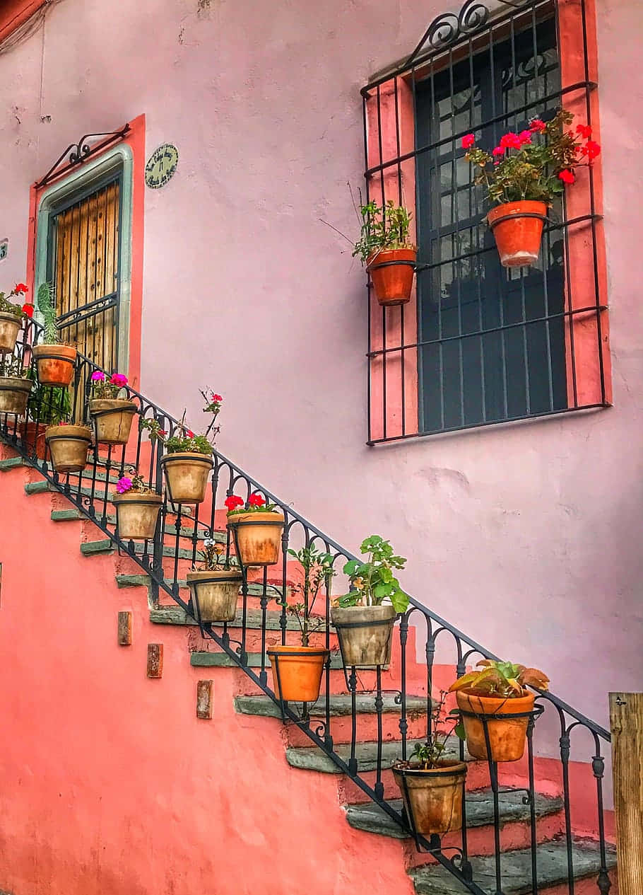 Mexican Pink Wall Flower Pots Staircase Wallpaper