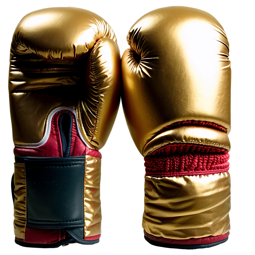 Mexican Style Boxing Gloves Png 05252024 PNG