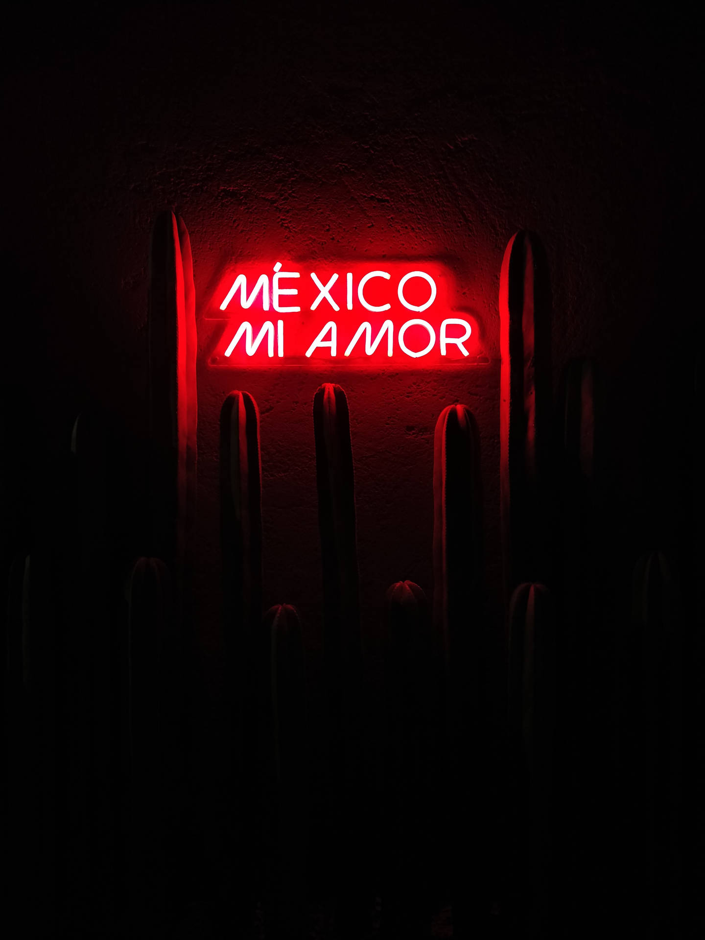 Mexico Dark Red Signage Wallpaper