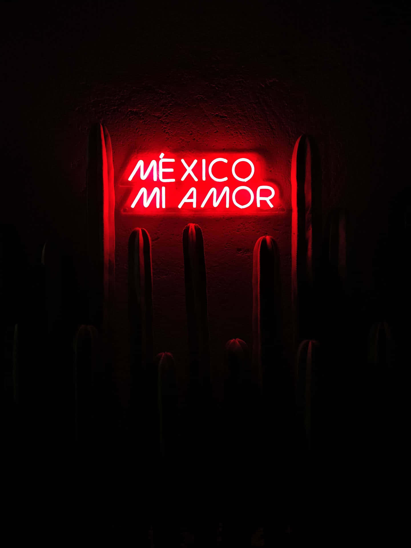 Mexico Mi Amor Neon Sign Wallpaper