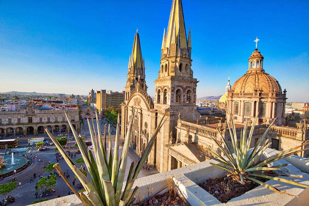 A View Of A Cathedral And Cactus Plants