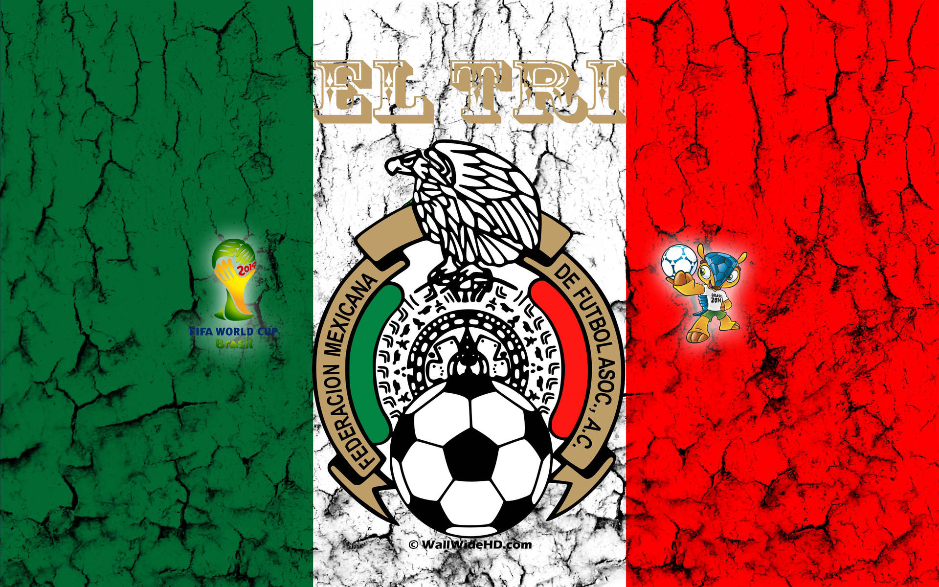 Mexico Soccer Team Federation Picture