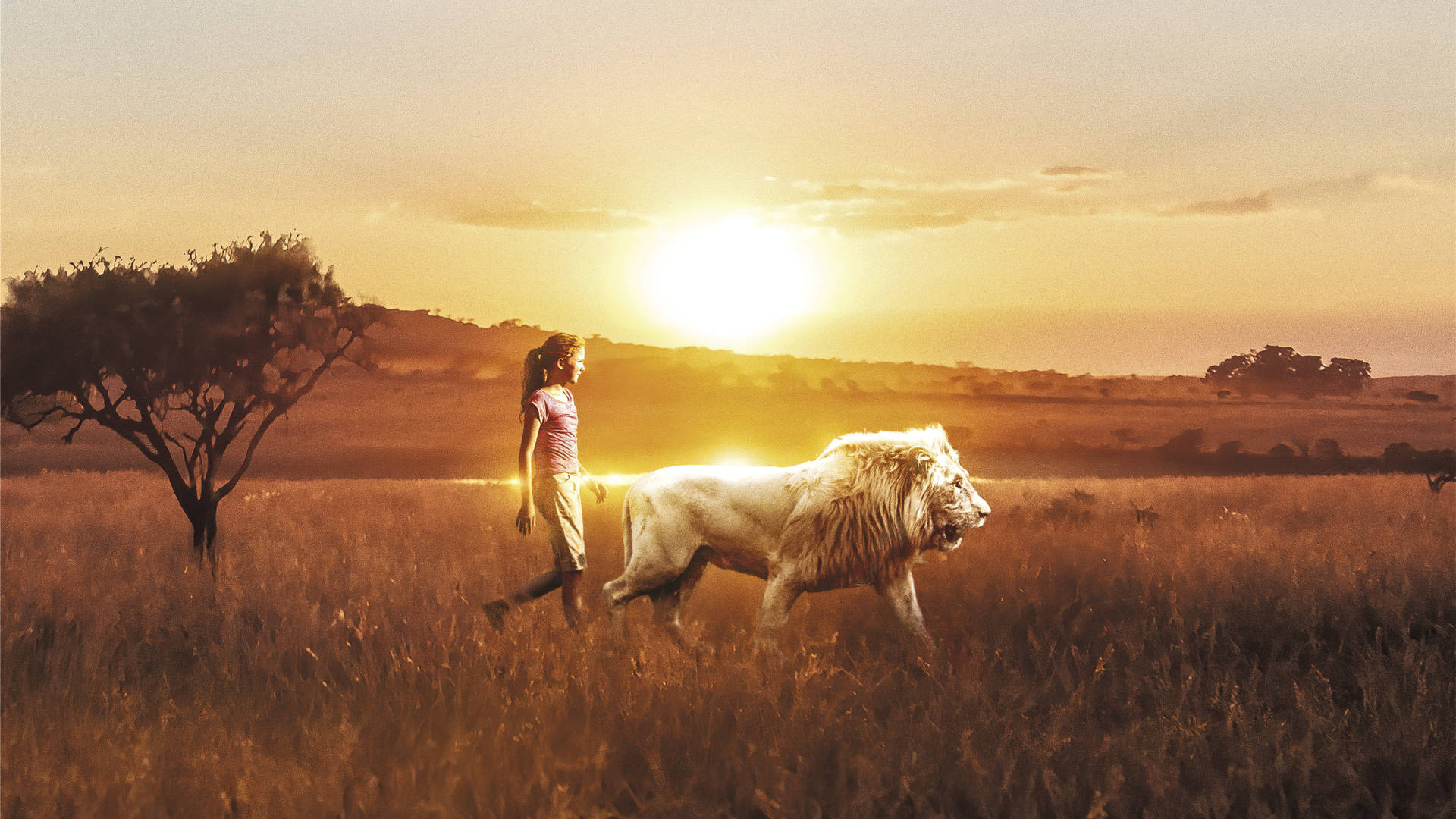 Mia And The White Lion Desktop Wallpaper