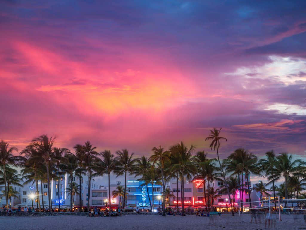 =The stunning Miami cityscape at sunset