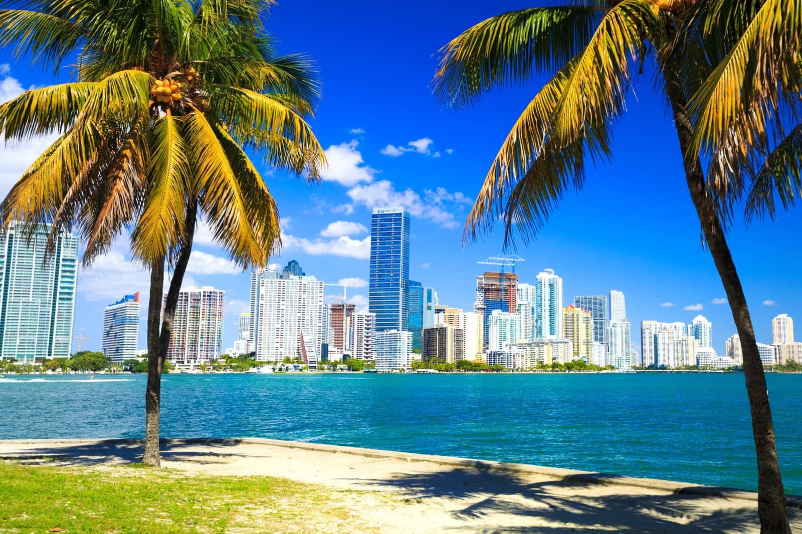 Stunning Panoramic Skyline of Miami at Dusk