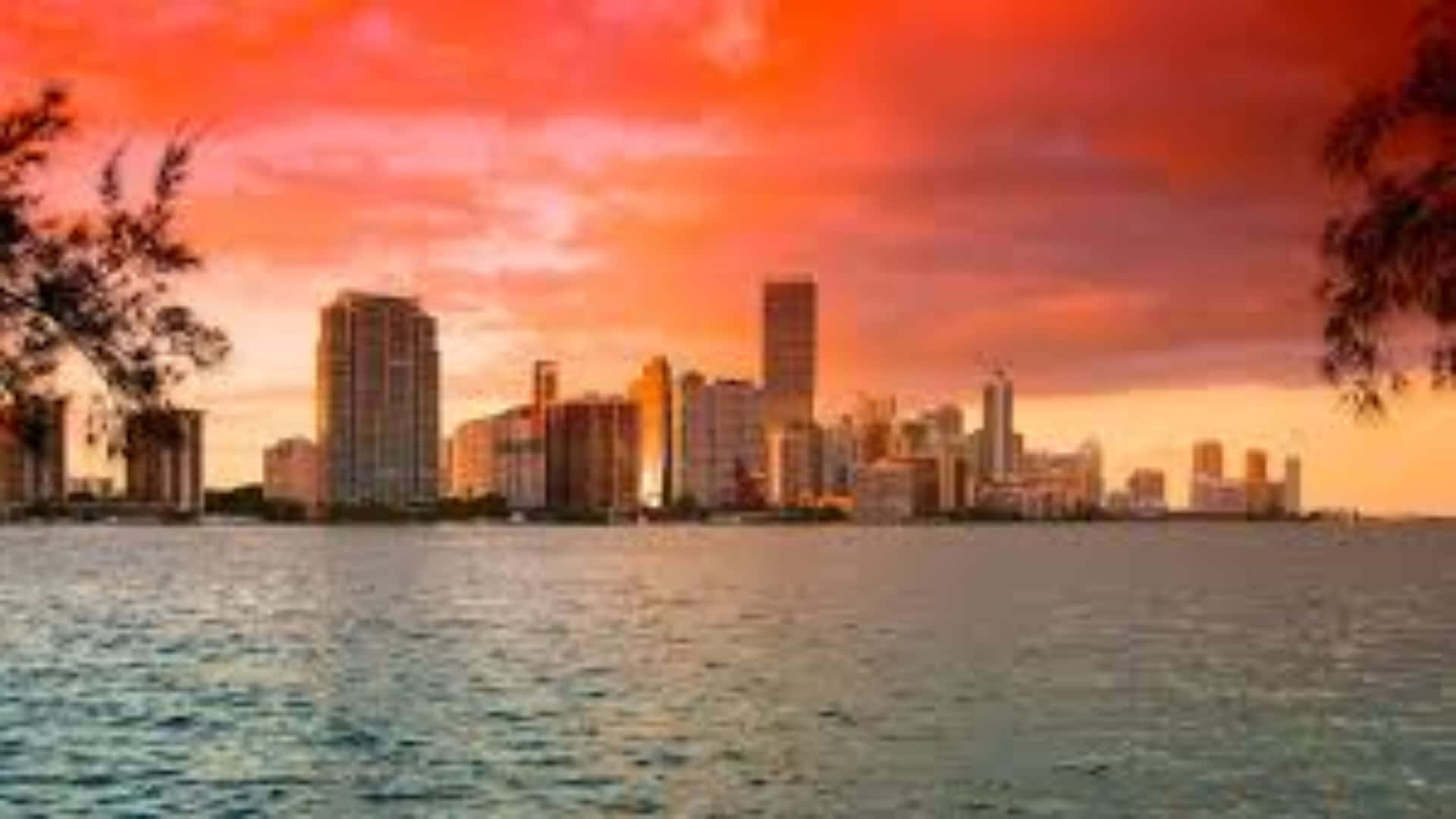 Acidade De Miami Em Todo O Seu Esplendor Em 4k Papel de Parede