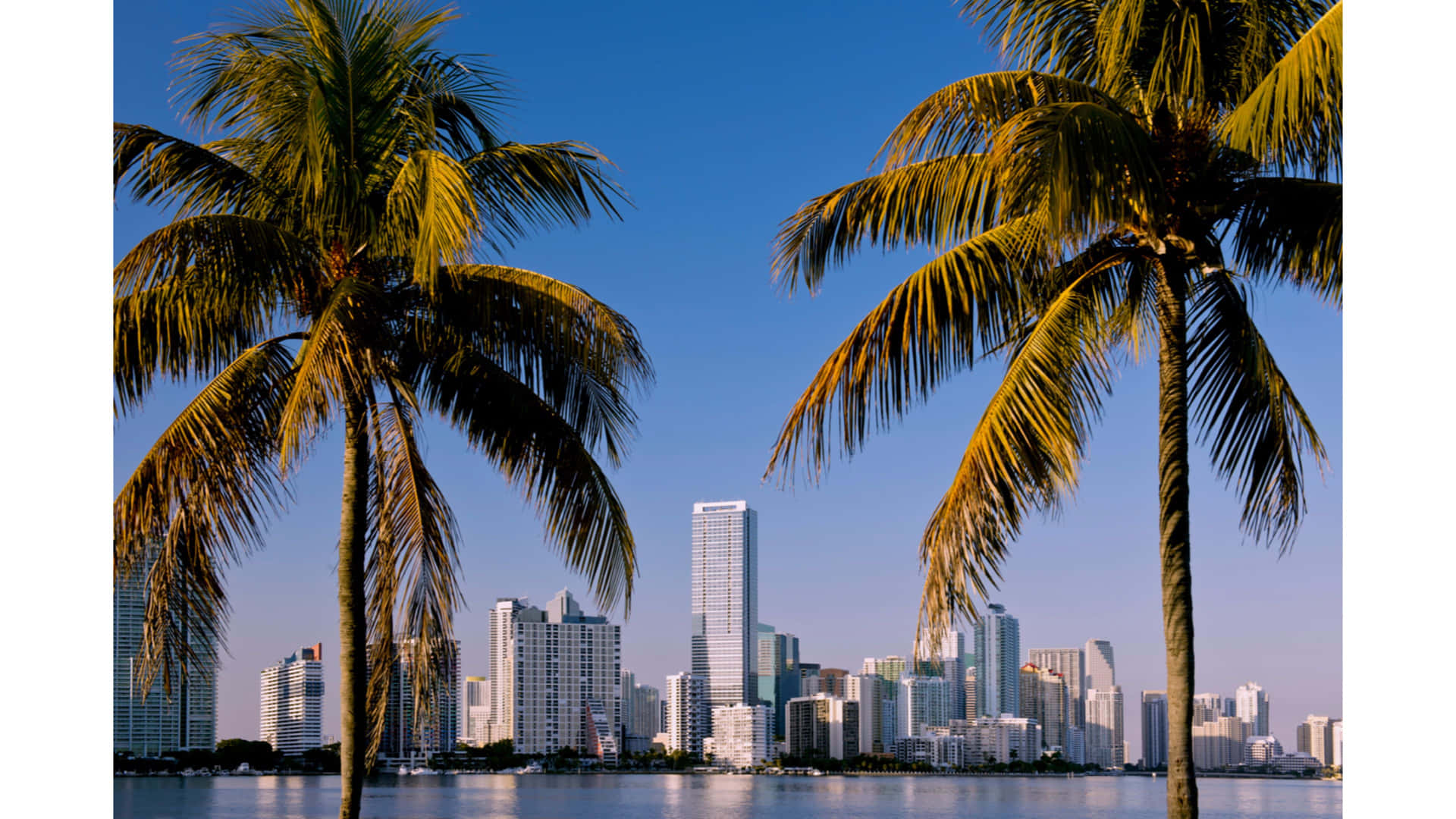 Immagineuna Vista Panoramica Del Centro Di Miami Sfondo
