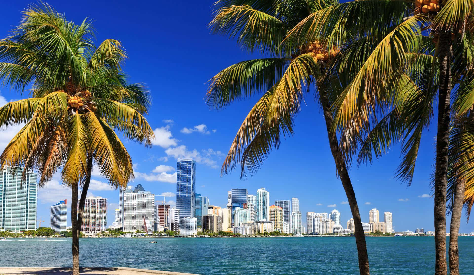 Njutav En Andlös Utsikt Över Miami På Denna Fantastiska Tapet