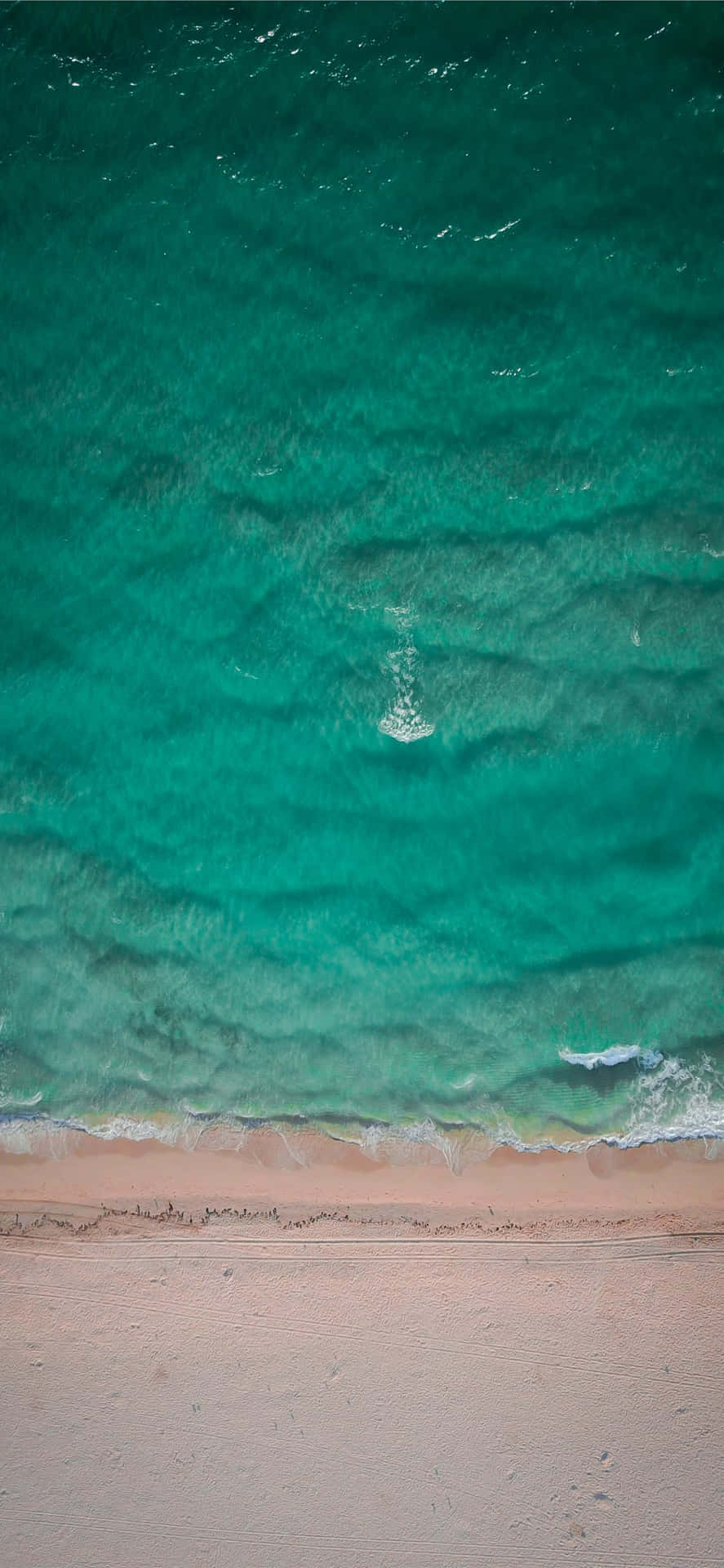 Miamibeach Grön Havsvattenbild