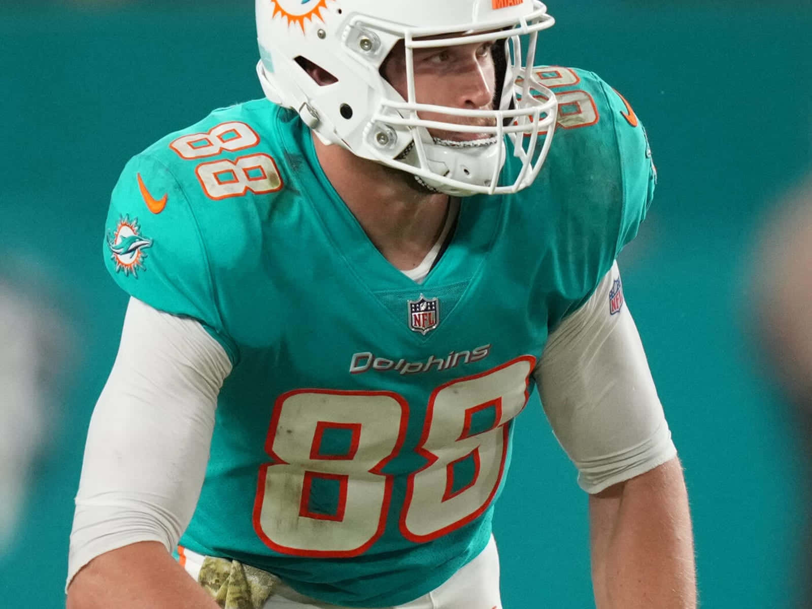 Miami Dolphins Player88 Wallpaper