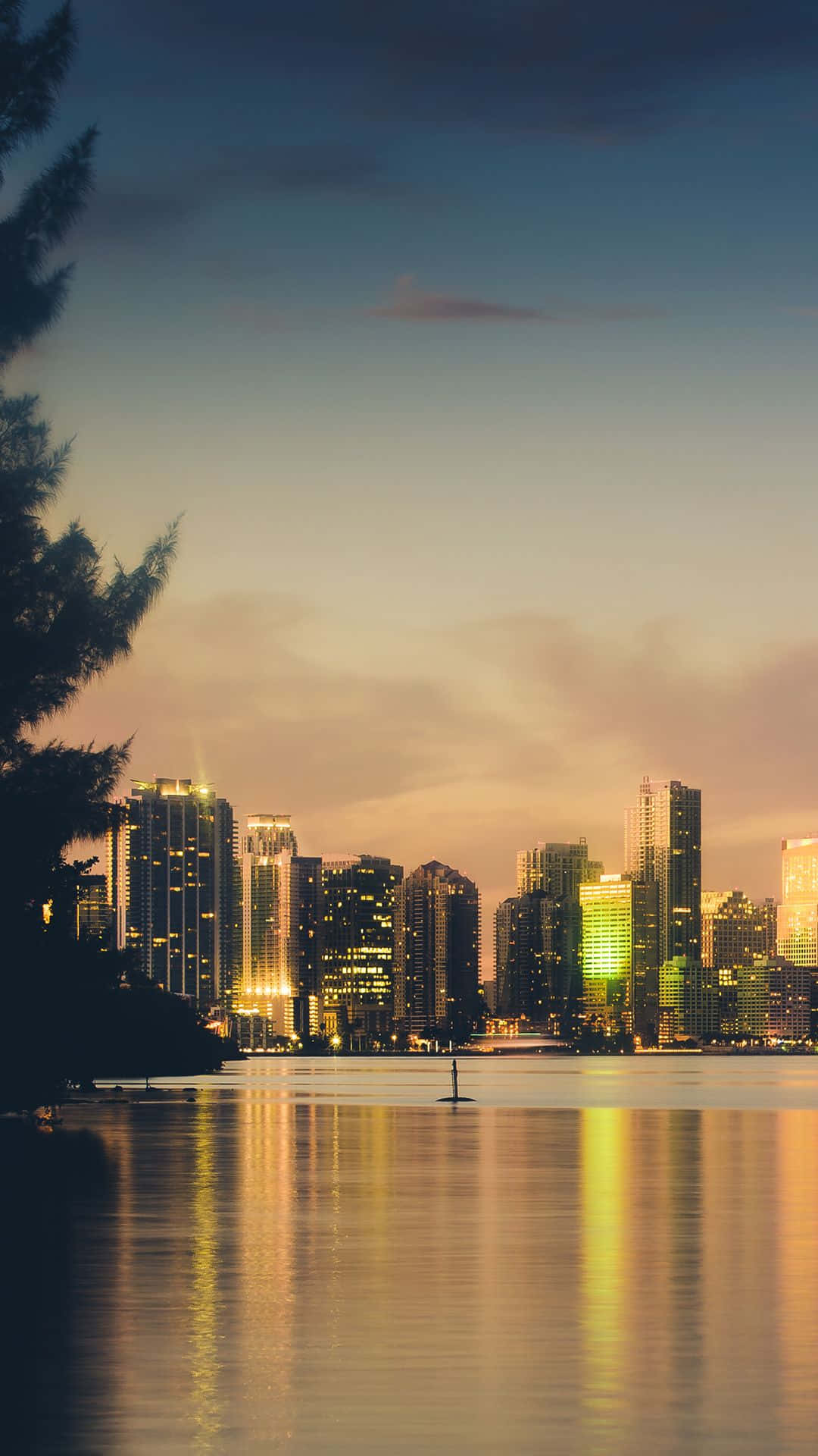 Experience Miami's enchanted beauty with this iPhone wallpaper. Wallpaper