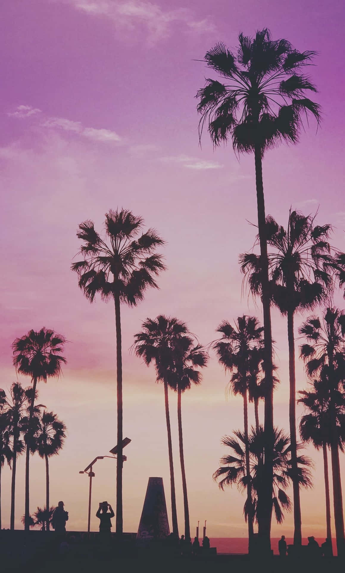 Miami Purple Sunset Iphone Wallpaper