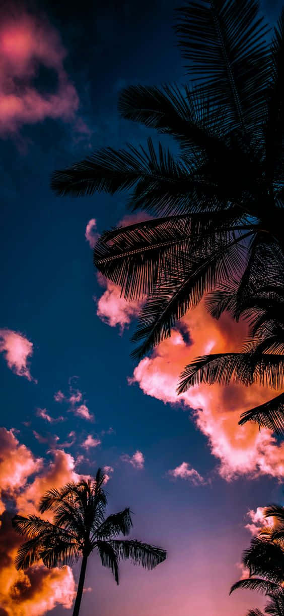 Njutav Den Spektakulära Utsikten Över Miami-stranden På Din Iphone. Wallpaper