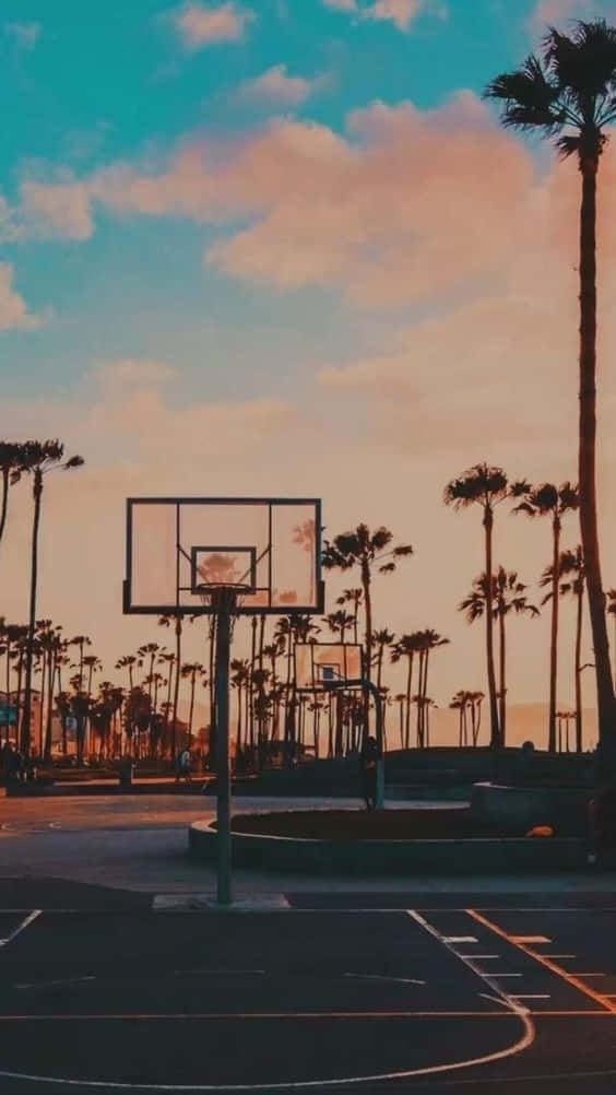 En basketballbane med palmer og palmer Wallpaper