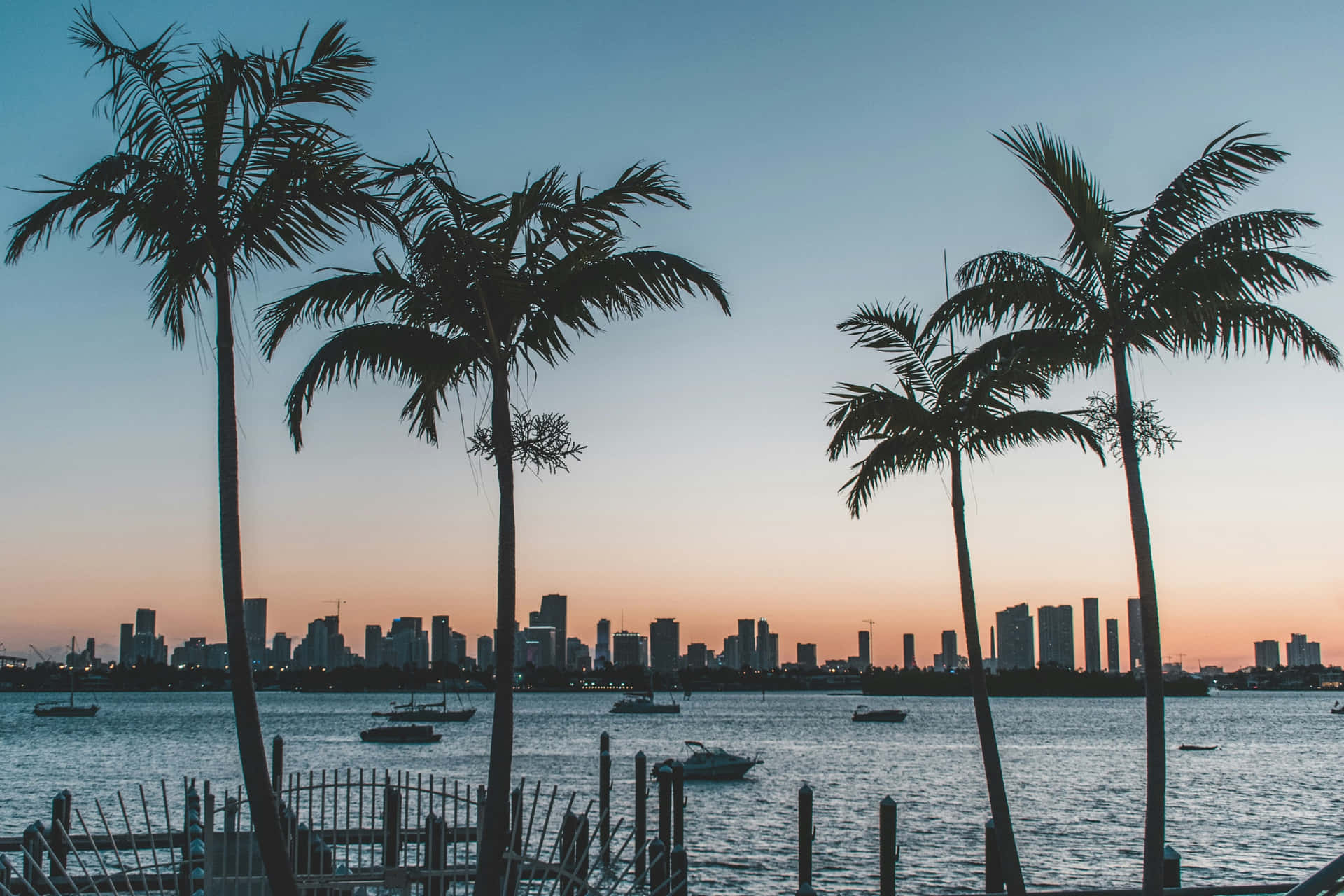 Miami Skyline Sunset Palm Trees Wallpaper