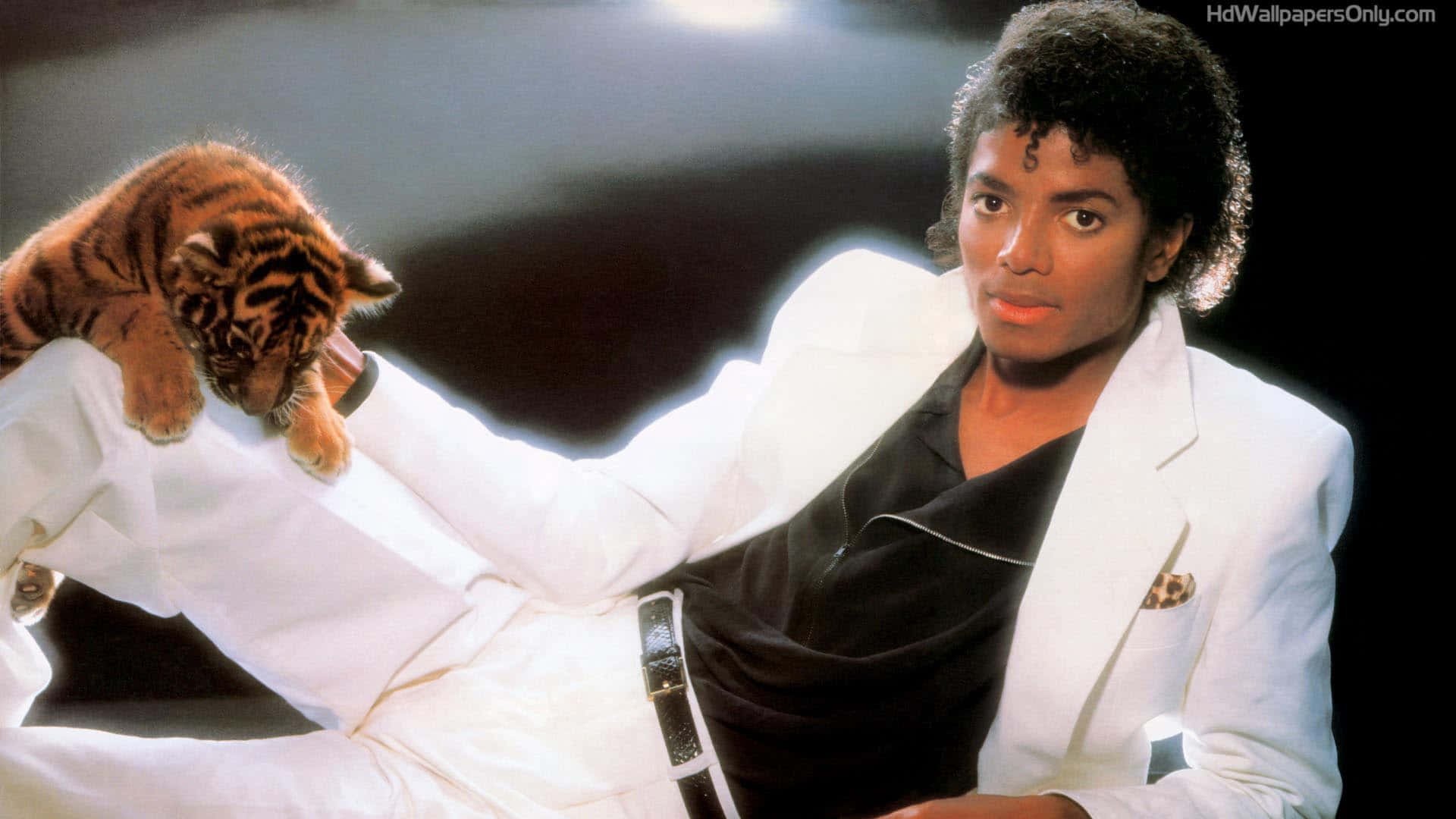 Michael Jackson i det iconiske Thriller film scene Wallpaper