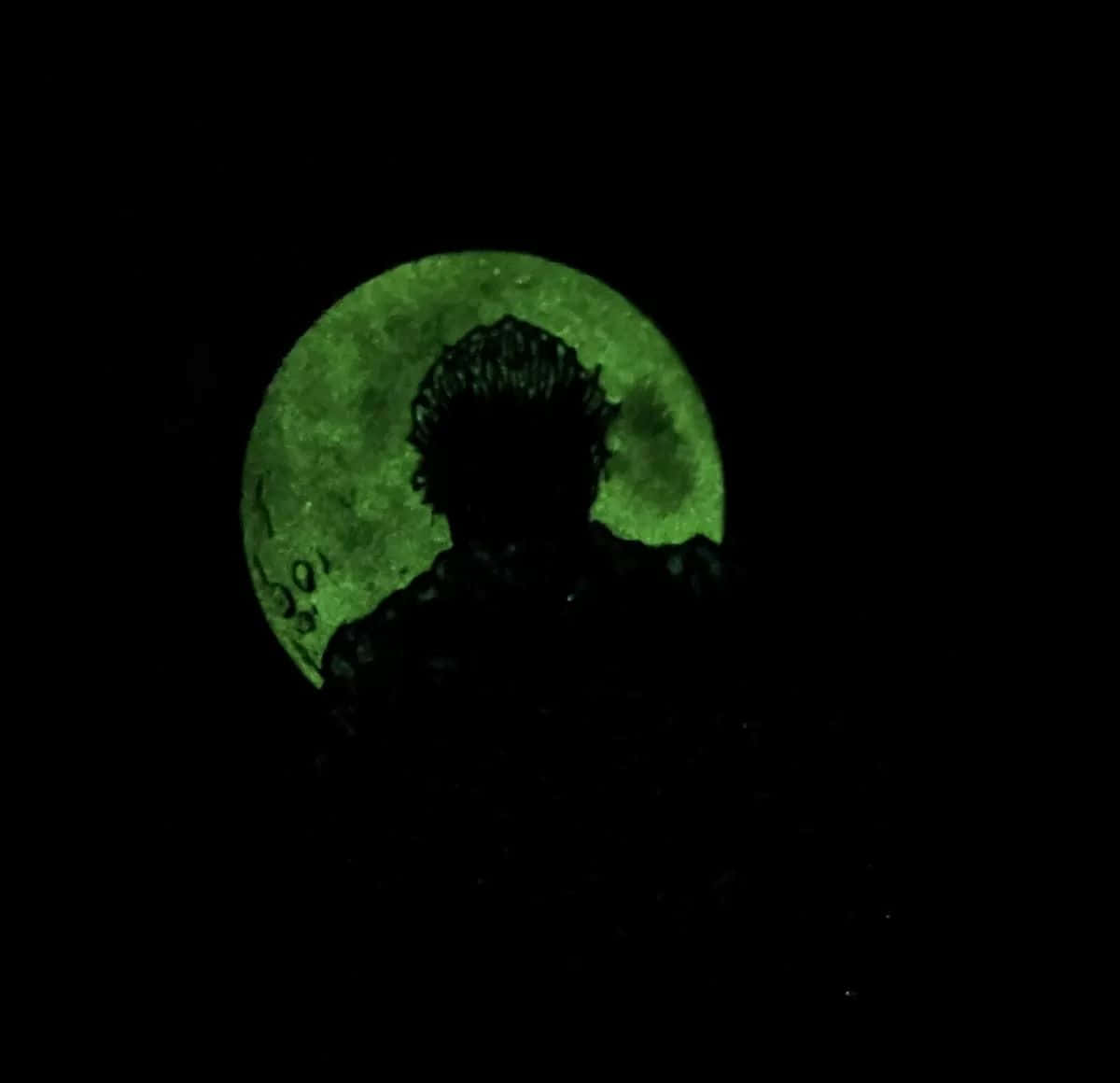 Michael Myers Silhouette Green Moon Wallpaper