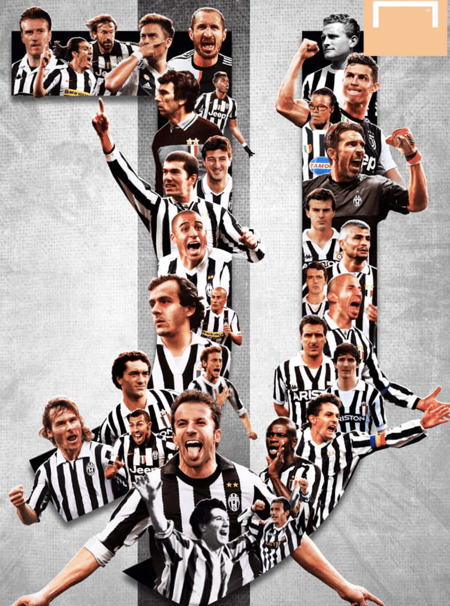 Michelplatini Juventus F.c. Fan Art Foto Wallpaper