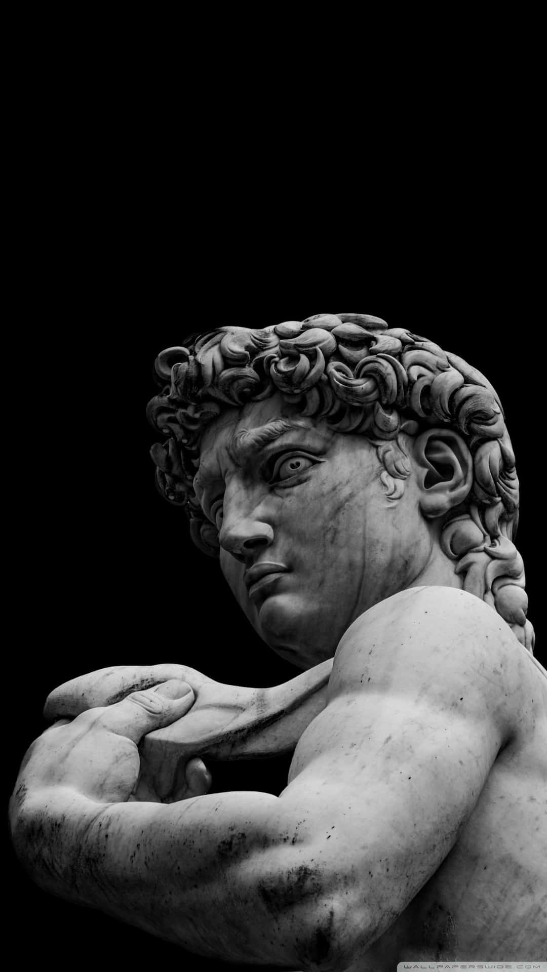 Sort og hvid David af Michelangelos skabelse af Adam Wallpaper