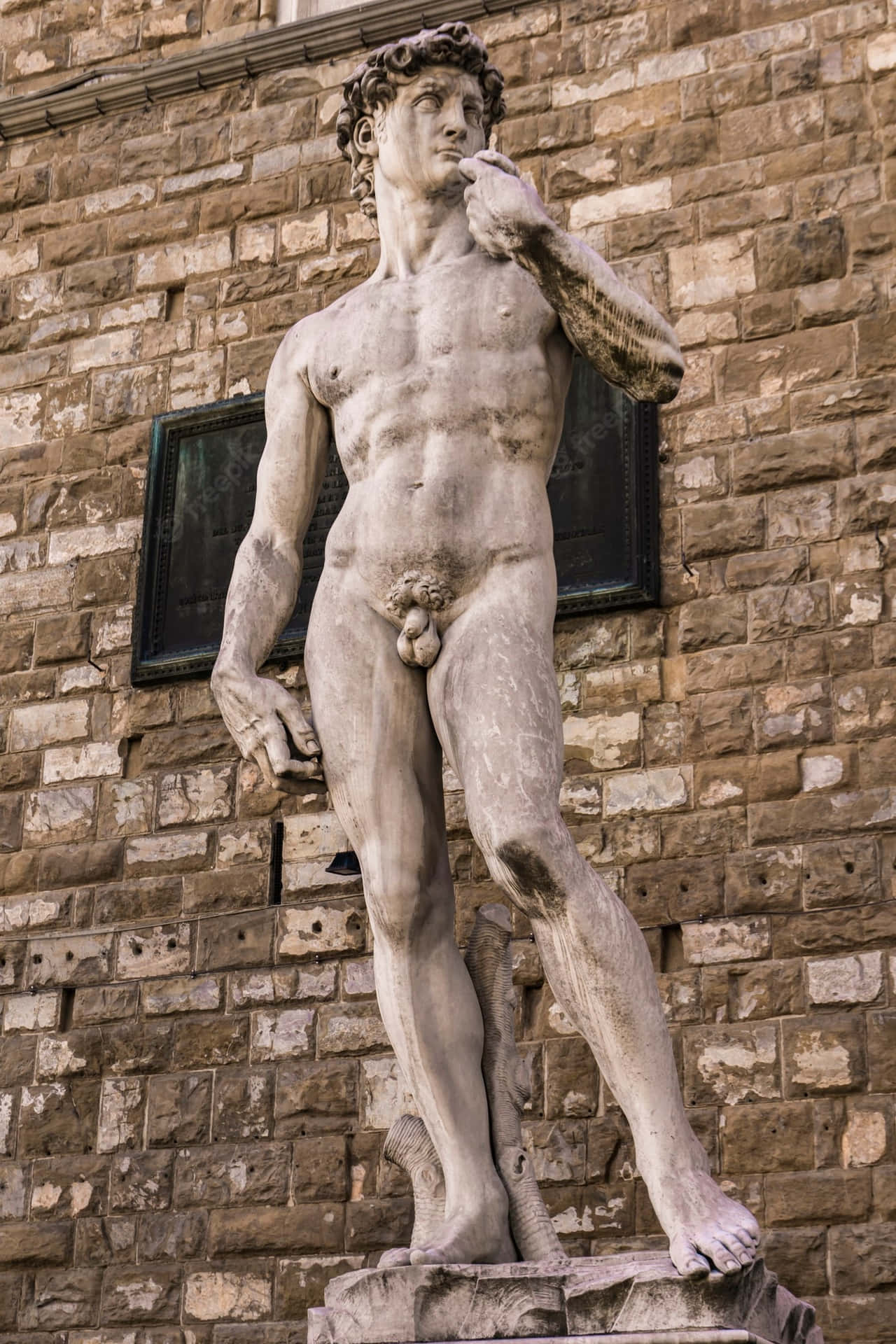 Davidav Michelangelo Replika. Wallpaper