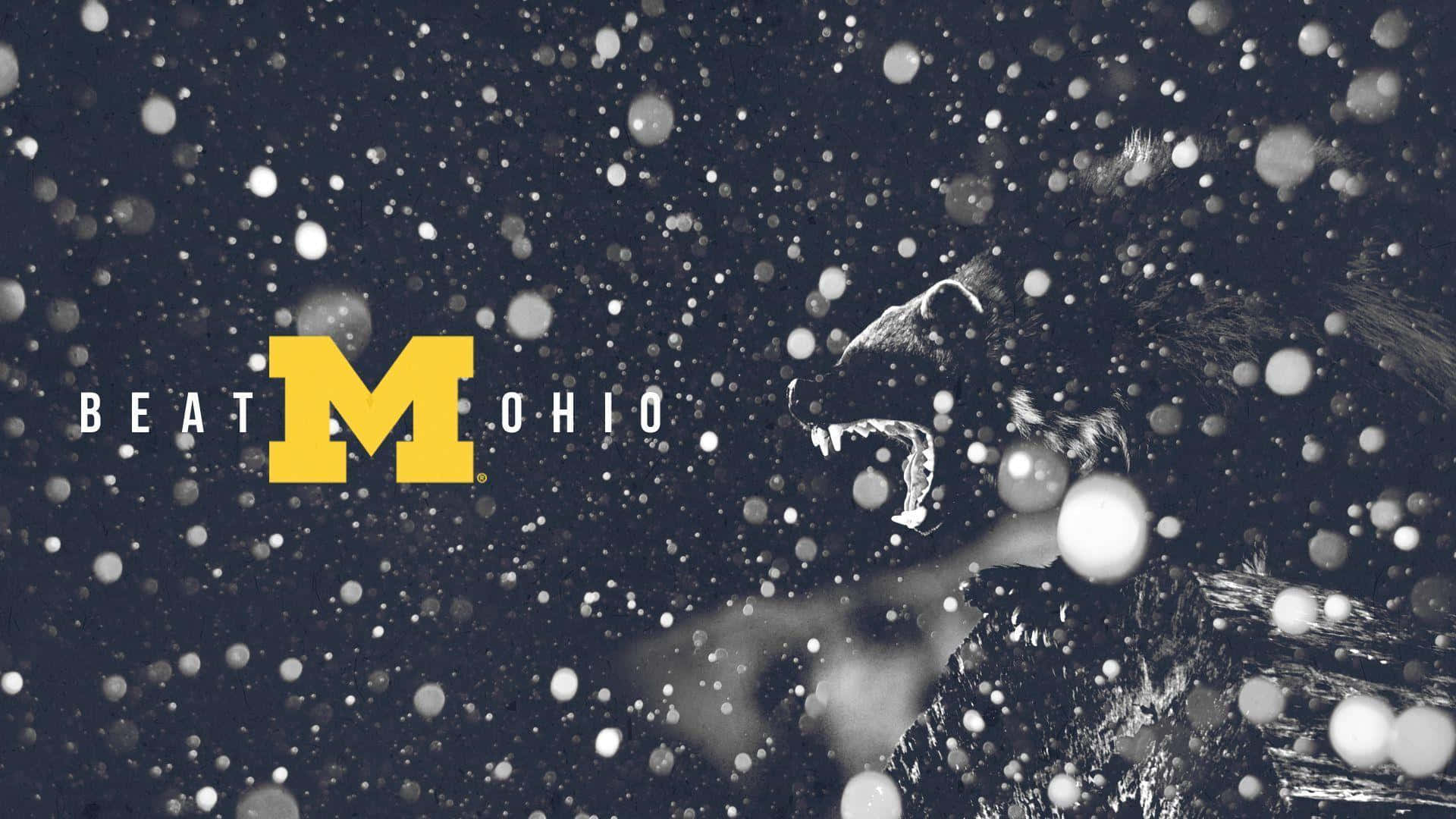 Fejre endnu en stor sejr på University of Michigan Wolverines Football Field Wallpaper