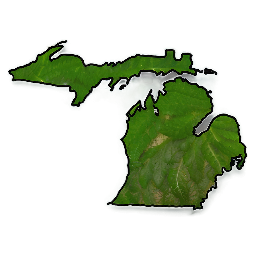 Michigan Outline C PNG