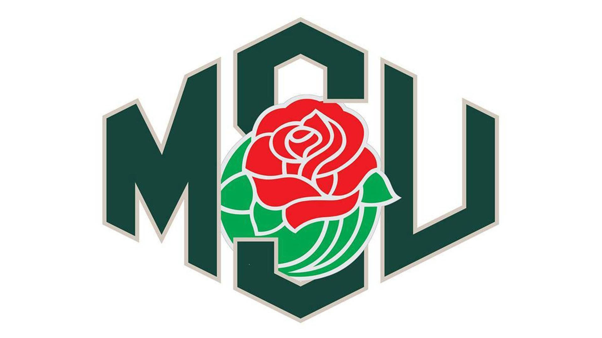 Logotipode La Universidad Estatal De Michigan Msu Fondo de pantalla