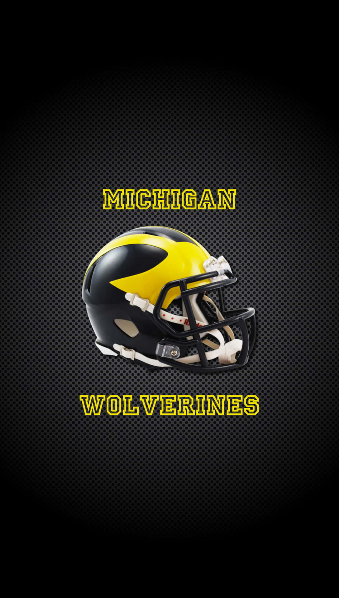 Michigan Wolverines Football Team Charging the Field Wallpaper