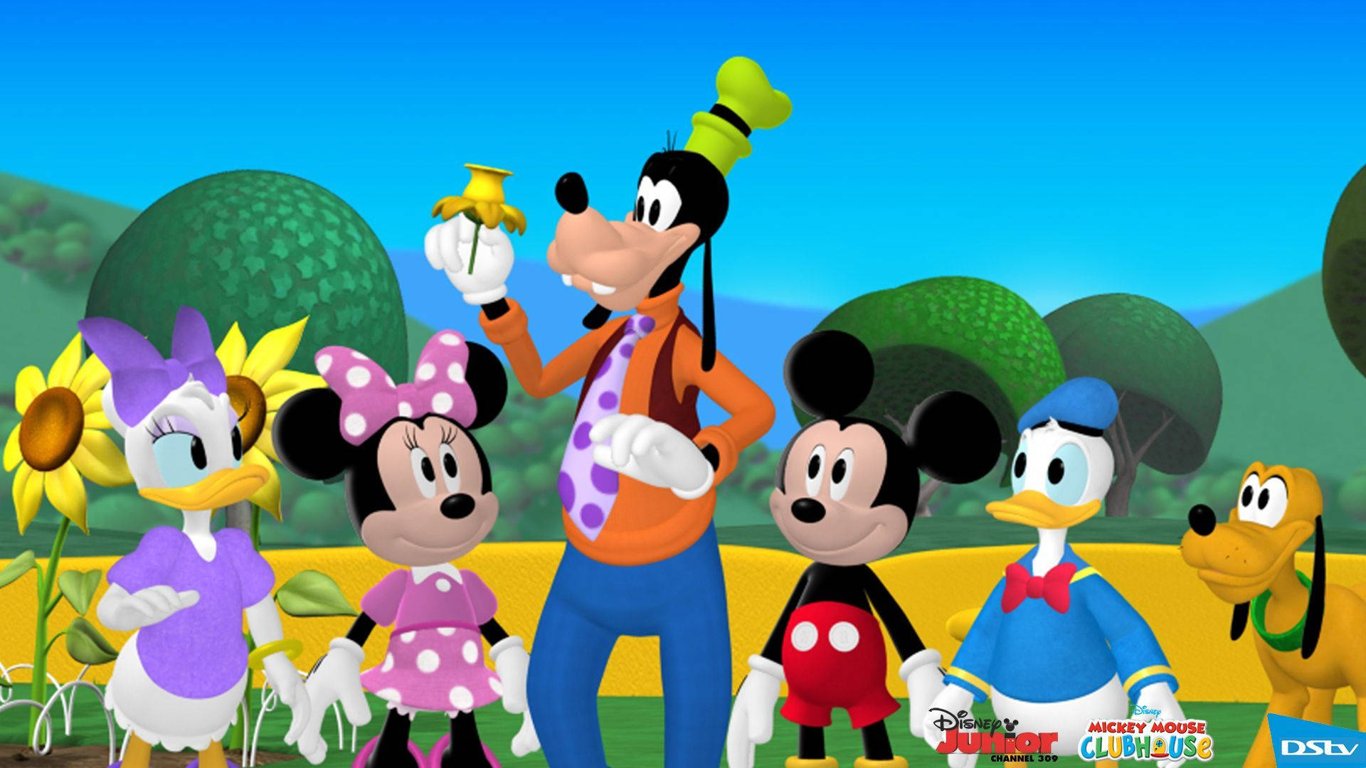 Mickey Mouse Clubhouse Sunflowers Wallpaper
