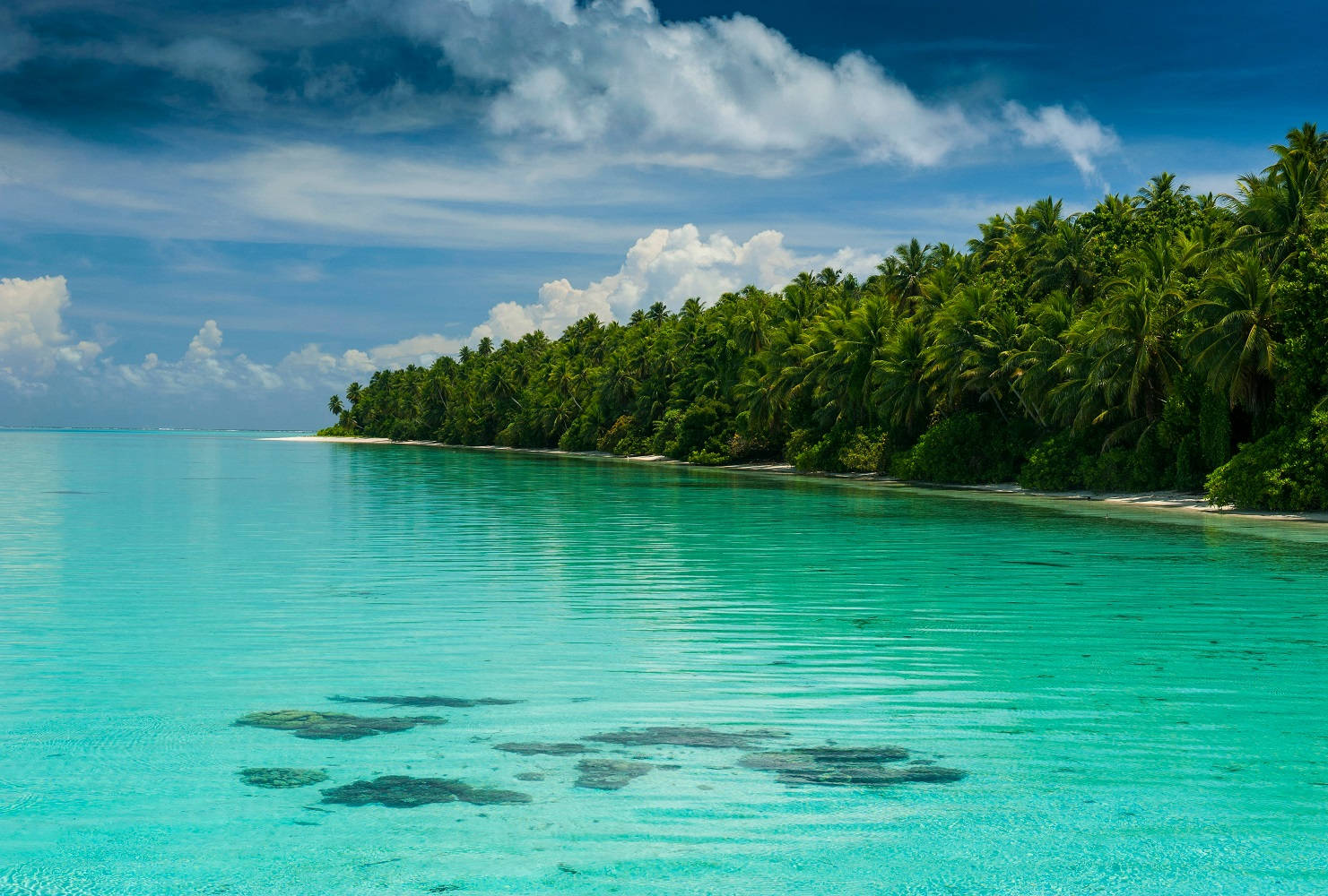 Micronesia Green Sea Water Wallpaper