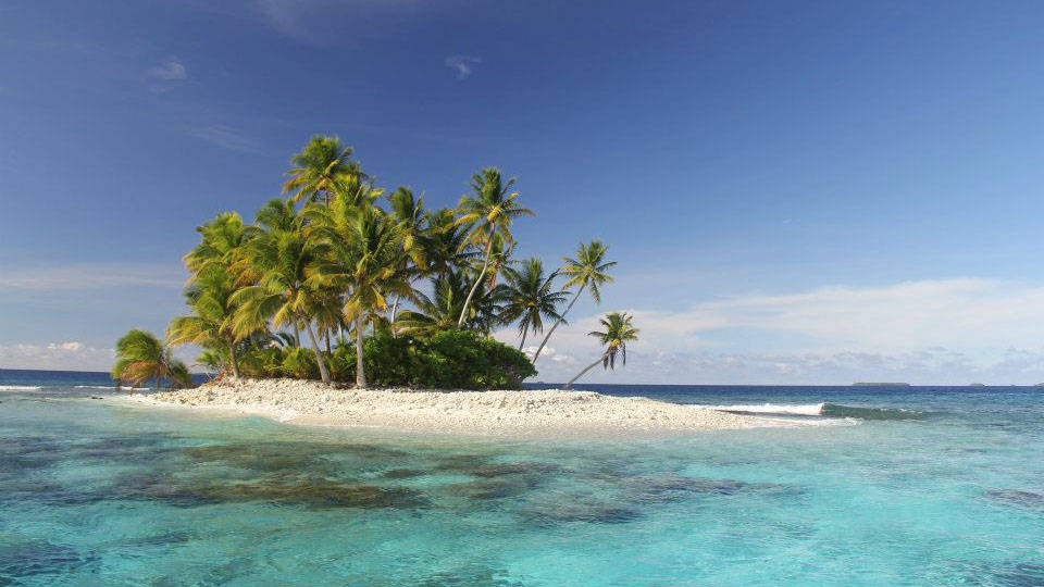 Micronesia Small Island Coconut Trees Wallpaper