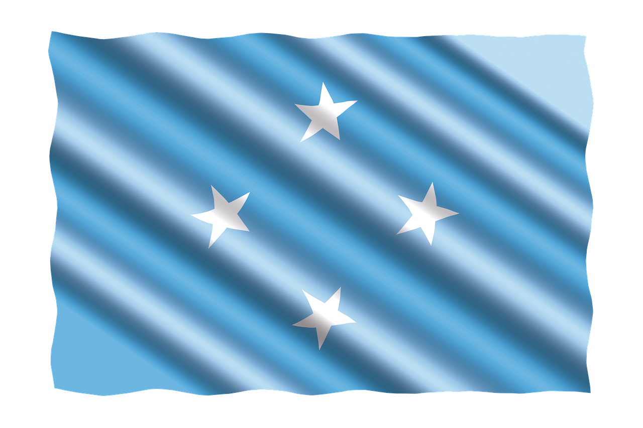 Micronesian Flag Wavy Texture PNG