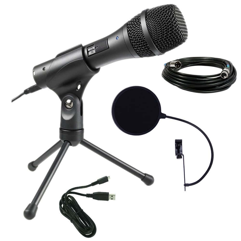 Einprofessionelles Mikrofon