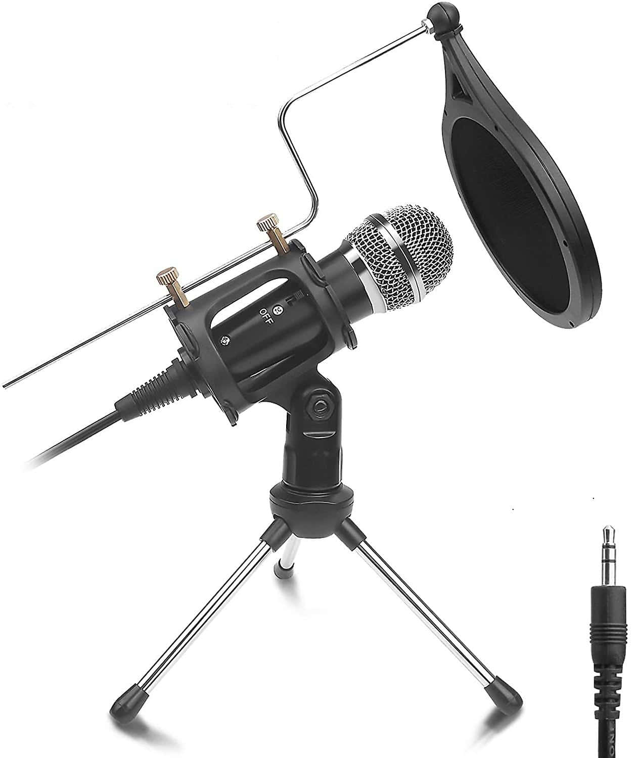 Captivating Microphone Portrait