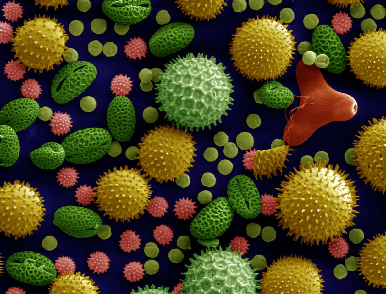 Incredibilevarietà Di Colori E Texture Visibili Attraverso Una Lente Microscopica