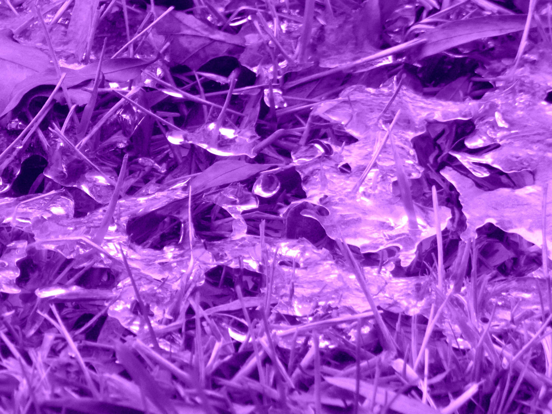 Microscopic Purple Ice