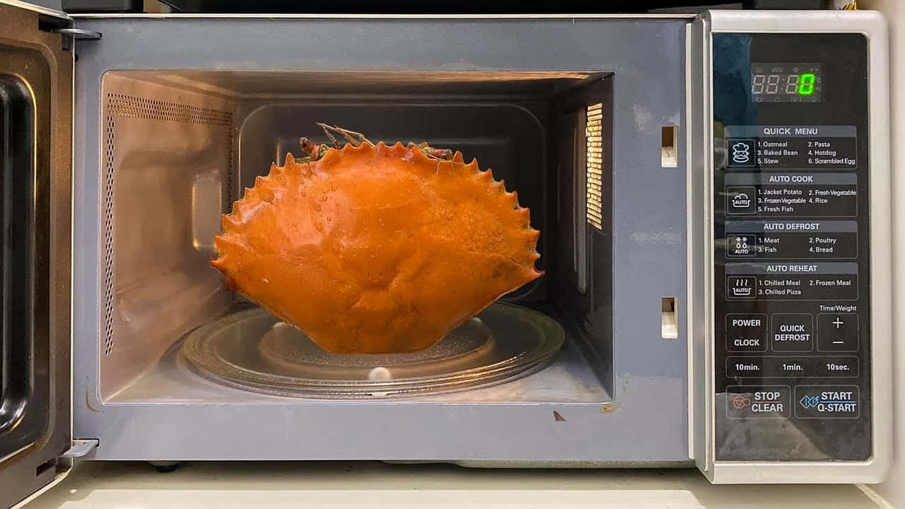 A Crab In A Microwave Oven