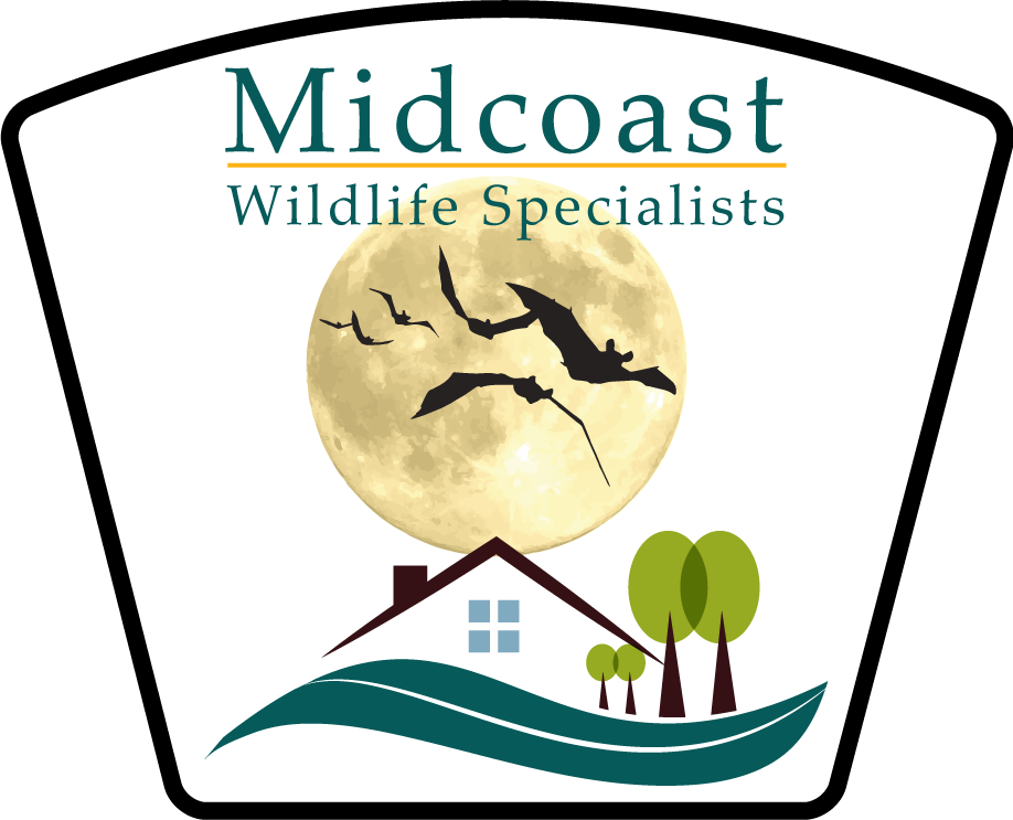 Midcoast Wildlife Specialists Logo PNG