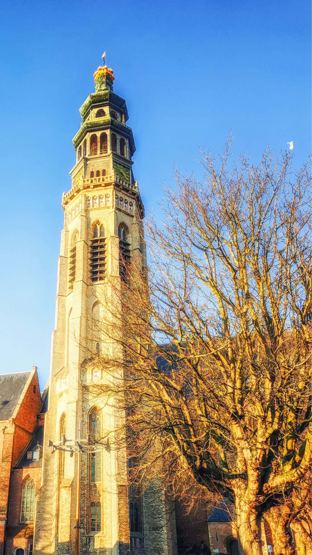 Middelburg Abbey Tower Sunlit Sky Wallpaper