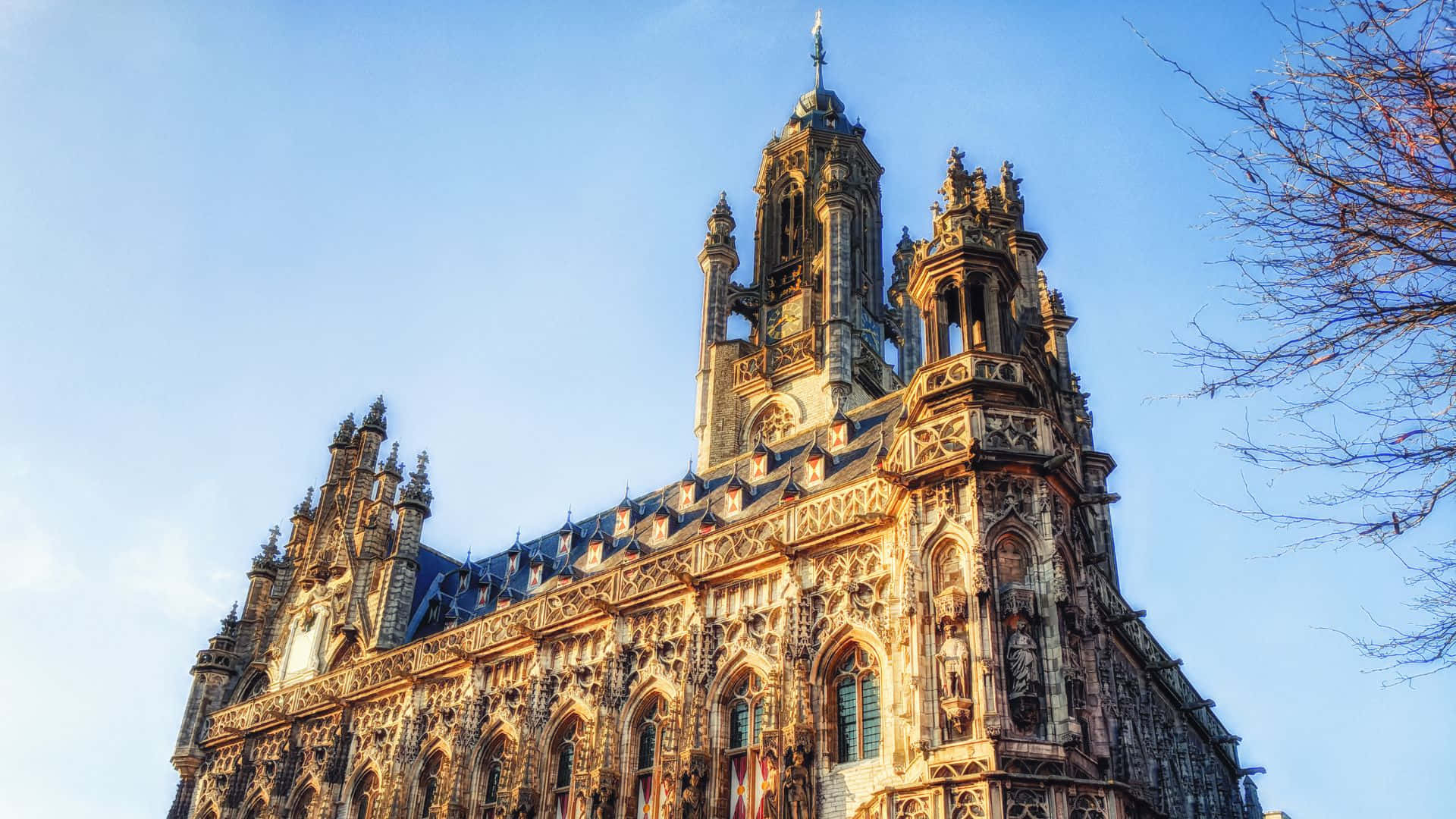 Middelburg Town Hall Gothic Architecture Wallpaper