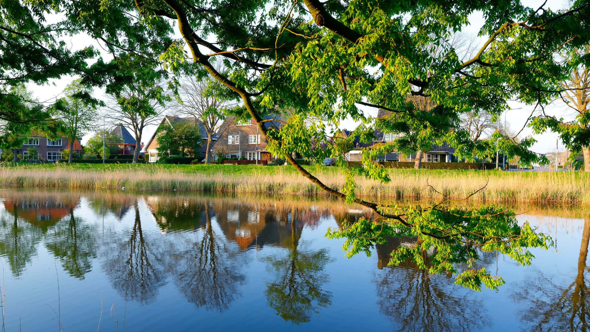 Download Middelburg Waterfront Reflections Wallpaper | Wallpapers.com