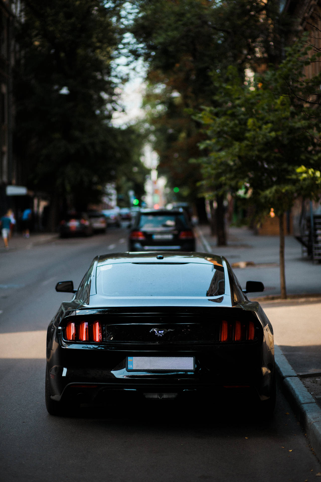 Midnight Black Ford Mustang Gt