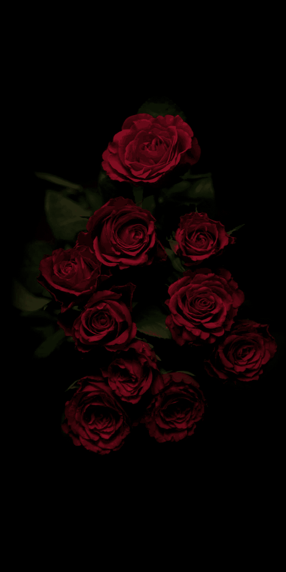 Midnight_ Roses_ Bouquet Wallpaper