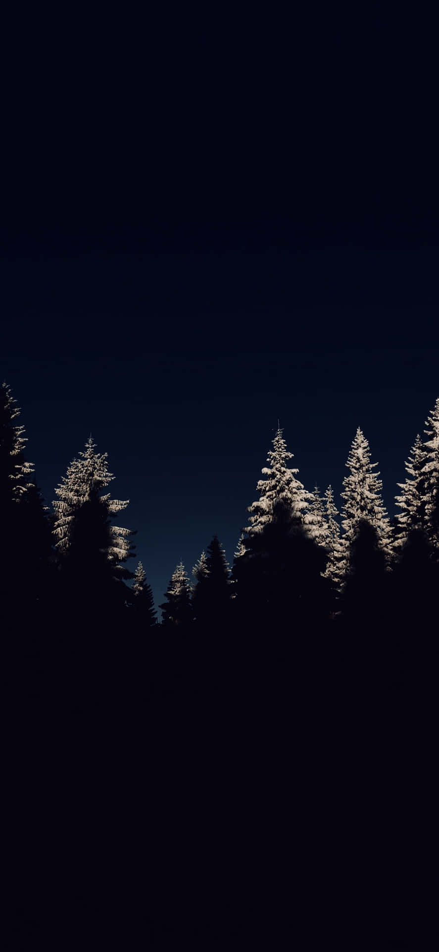 Midnight Snowy Pines Dark Christmas Aesthetic.jpg Wallpaper