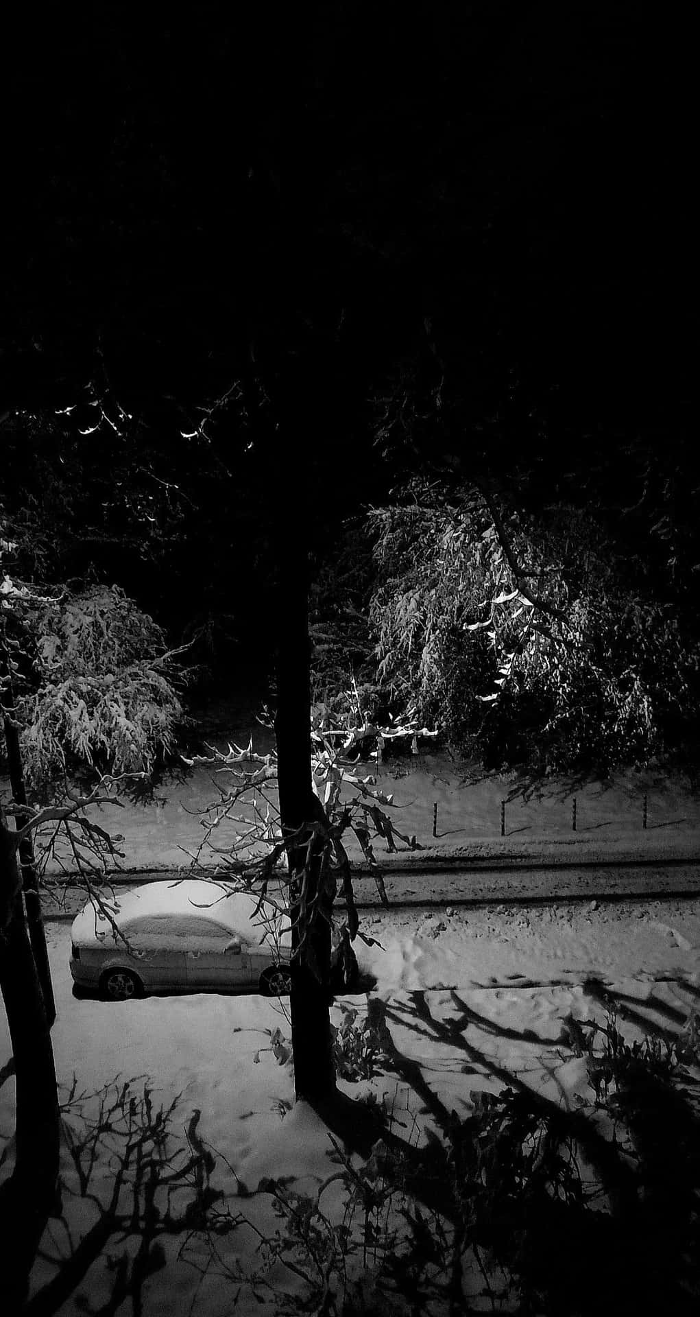 Solitude D'hiver À Minuit.jpg Fond d'écran