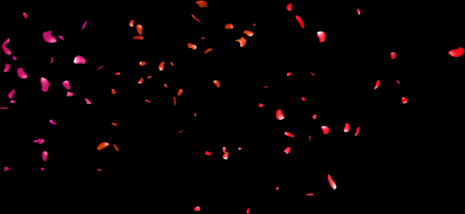 Midnight_ Rose_ Petals_ Fall PNG