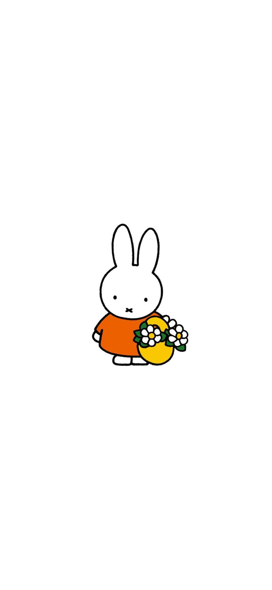Miffy With Daisy Flowers Background