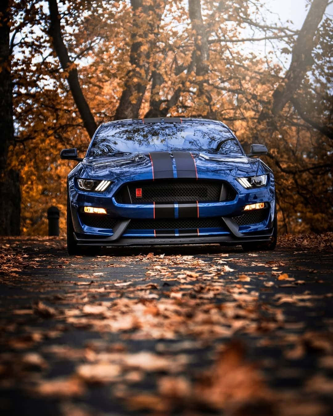 Mighty Elegance: Ford Mustang Gt350r On The Move Wallpaper